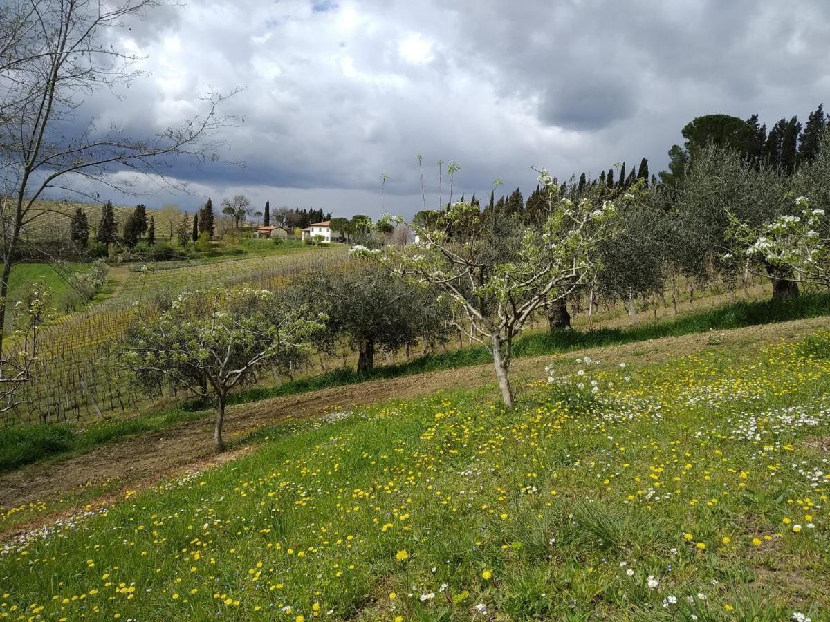 Agriturismo Ca'De'Gatti Faenza Exterior photo