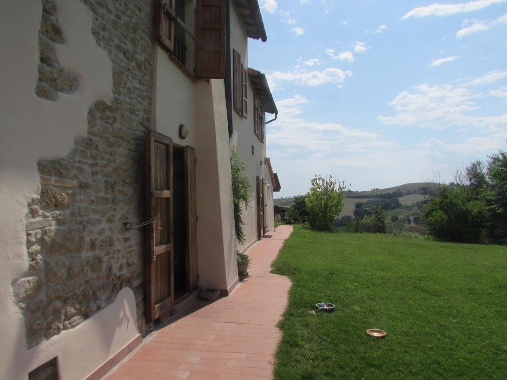 Agriturismo Ca'De'Gatti Faenza Exterior photo