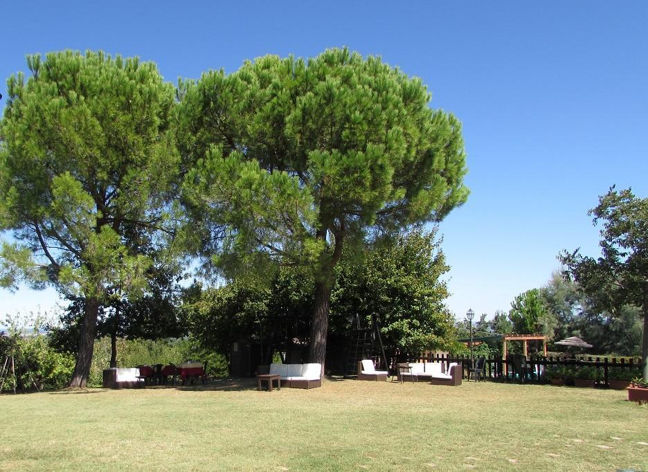 Agriturismo Ca'De'Gatti Faenza Exterior photo