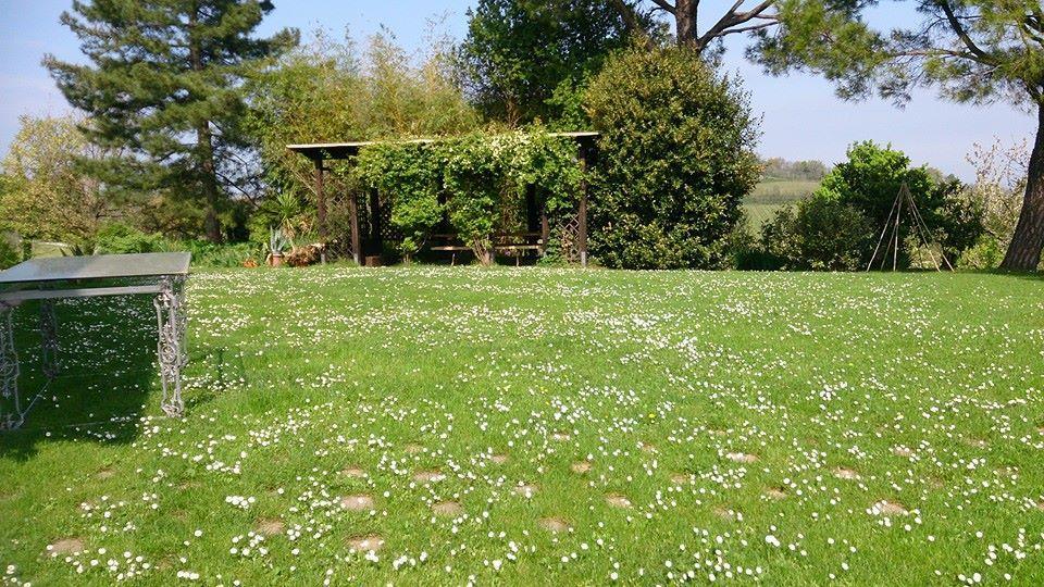 Agriturismo Ca'De'Gatti Faenza Exterior photo