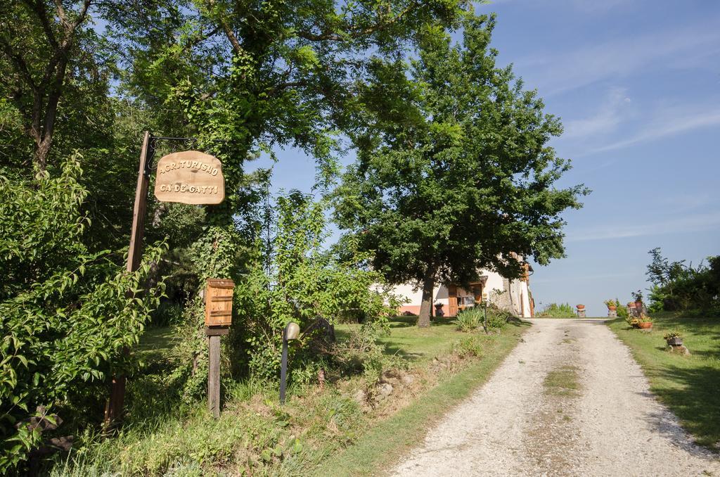 Agriturismo Ca'De'Gatti Faenza Exterior photo