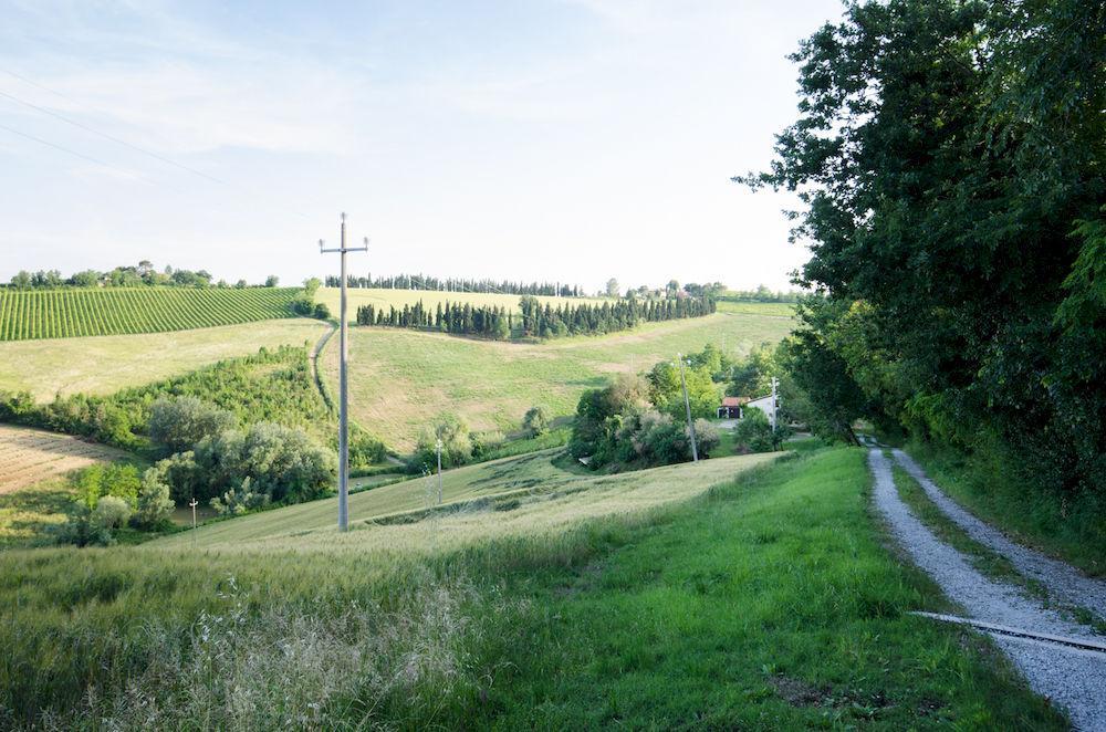 Agriturismo Ca'De'Gatti Faenza Exterior photo